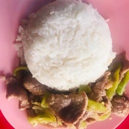 ข้าวหมูผัดพริกหยวก