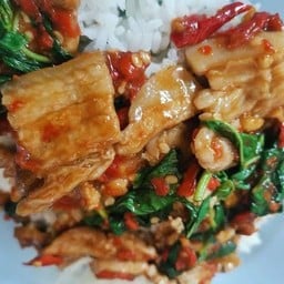 กระเพราหมูสามชั้นกับข้าว