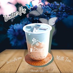 ชานมอัญชัน 🦋