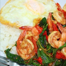 ข้าวกะเพรากุ้ง+ไข่ดาว