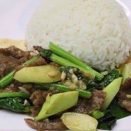 ข้าวราดผัดคะน้าเนื้อ