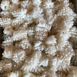 หมึกบั้งตา