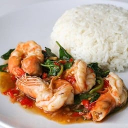 ข้าวราดกะเพรากุ้ง