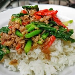 ข้าวราดคะน้าหมูสับ