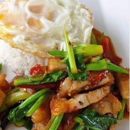 ข้าวราดคะน้าหมูกรอบ