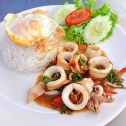 ข้าวราดกะเพราปลาหมึก