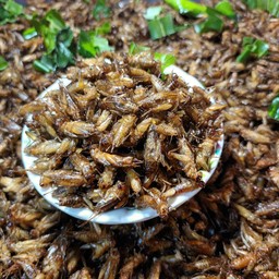 แมลงทอด หน้าด่าน