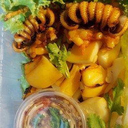 ศิริวรรณหมึกย่าง