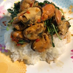 ข้าวกะเพราหอยแมลงภู่ชิลี