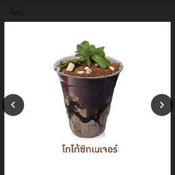 โกโก้ซิกเนเจอร์