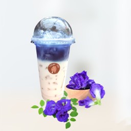 อัญชันนมสด