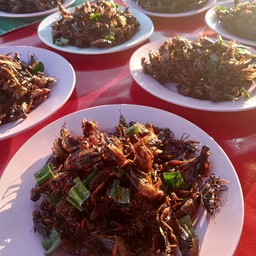 แมลงทอด ตลาดหนองแปบ