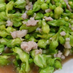 ผัดดอกขจรหมูสับ