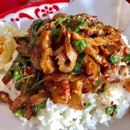 กระเพาถาด ตาโต👀 (ลาดพร้าว101)