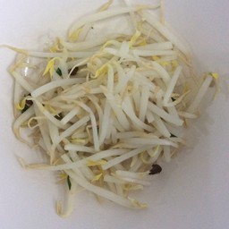 ถั่วงอกลวก