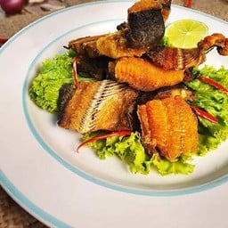 ครัวป้าน้อย (ต้นไทร)