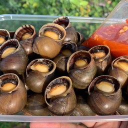 บ้านหอยหอม