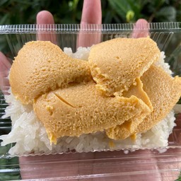 หัวกะทิขนมไทย-อาหาร