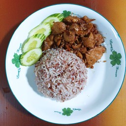 หมูกระเทียมพริกไทยเจราดข้าว Vegan