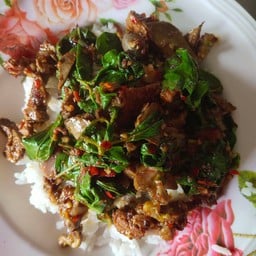 ออย&อ๊อฟ(จ๊ะเอ๋