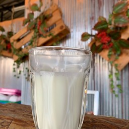 โรงชาท่าวัง