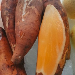 บัวหิมะ