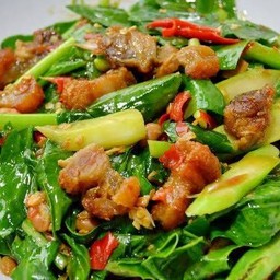 ผัดคะน้าราดข้าว