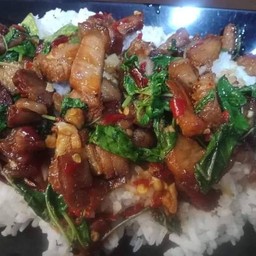 กระเพราหมูกรอบราดข้าว