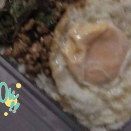 กระเพาหมูราดข้าวไข่ดาว