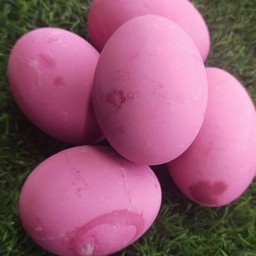 ไข่เยี่ยวม้า