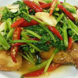 เนื้อปลาผัดขึ้นฉ่าย (กับข้าว)