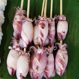 ปลาหมึกไข่ย่าง35