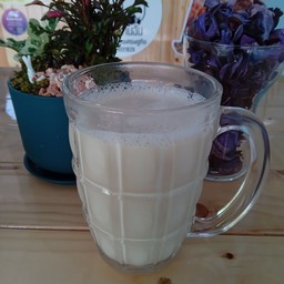 น้ำเต้าหู้ร้อน