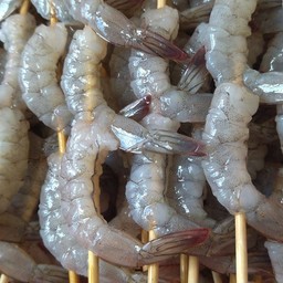 กุ้ง ไม้ละ