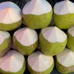 Fruit Sweets