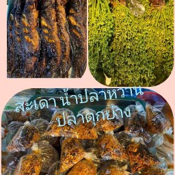 ป้าแป๊ด ปลาดกย่าง สะเดา น้ำปลาหวาน ปทุมธานี