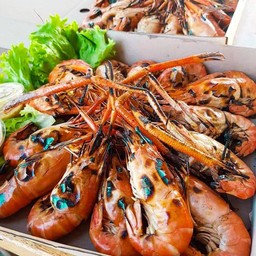 กิ๋นกุ้ง กุ้งเผาทะเลเผาเชียงใหม่สาขาตลาดธานินท์