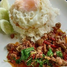 อิ่มพอดี ตามสั่ง..
