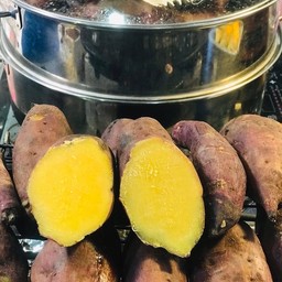 มันหวานญี่ปุ่นแท้