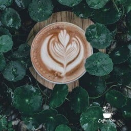 Coffee Tree-coffee&cake