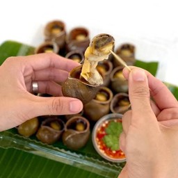 หอยโข่งนึ่ง สมุนไพร