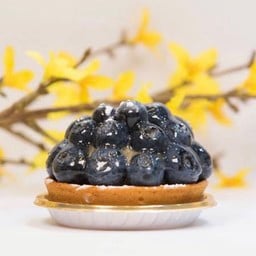 BLUEBERRY TART