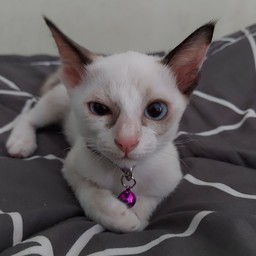 นุ่มนิ่ม