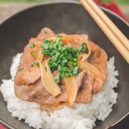 ข้าวหน้าเนื้อญี่ปุ่น