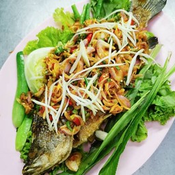 ปลากะพงลุยสวน