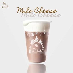 Milo Cheese.