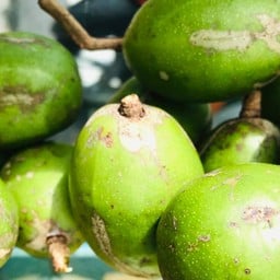 ป้าแหม่ม ผลไม้