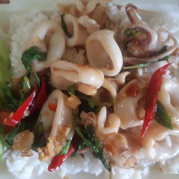 ผัดกระเพราะปลาหมึกราดข้าว