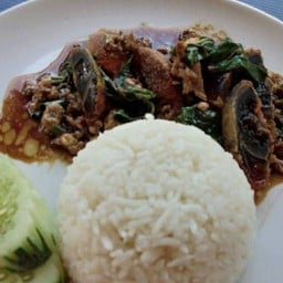 จานเดียว สาขา 2 มหาวิทยาลัยเชียงใหม่ ร้านจานเดียว สาขา 2 มหาวิทยาลัยเชียงใหม่
