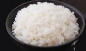 JAPANESE RICE